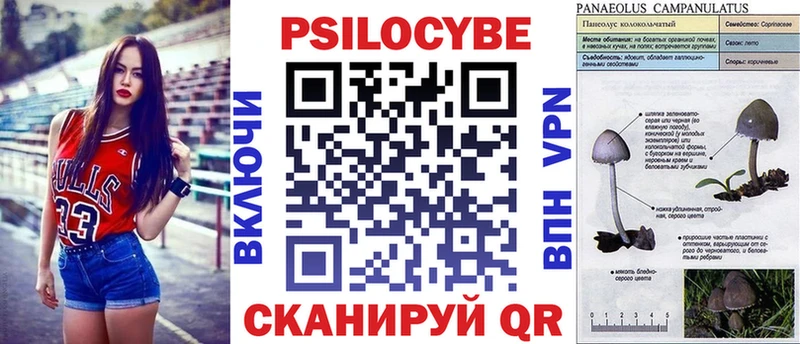 Псилоцибиновые грибы ЛСД  Малая Вишера 